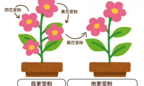 中医理疗师证书-中医理疗师证书国家承认吗专区_中医理疗培训正规学校哪里专区_中医理疗禁忌症网